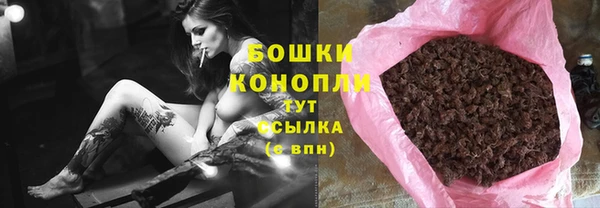дмт Ельня