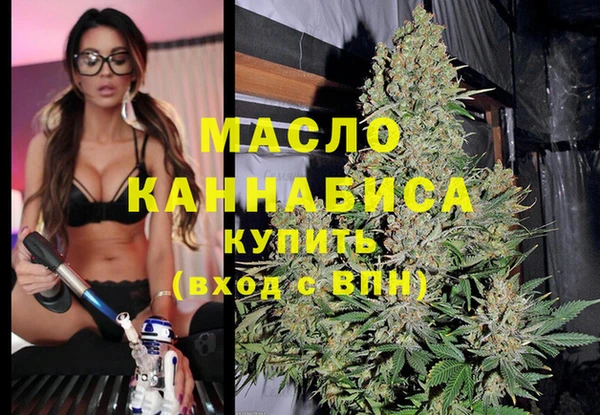 дмт Ельня