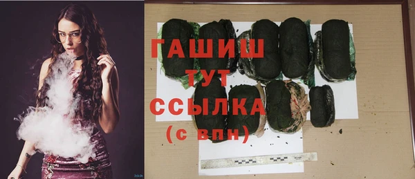 твердый Елизово