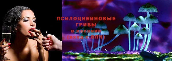 прущая мука Елабуга