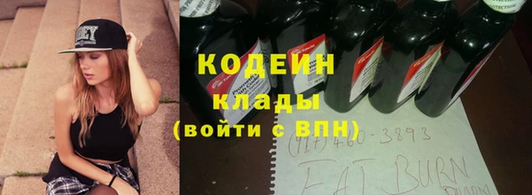 прущий лед Заводоуковск