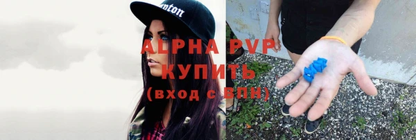 дмт Ельня