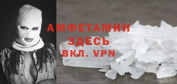 дмт Ельня