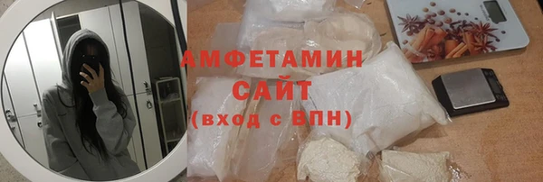 дмт Ельня