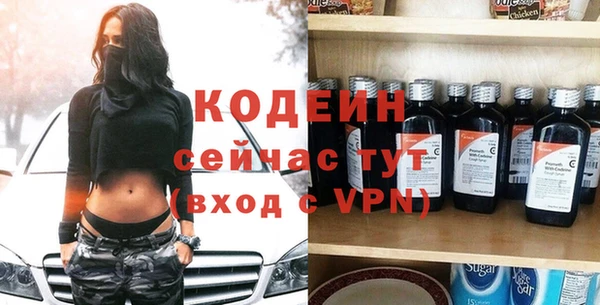 дмт Ельня