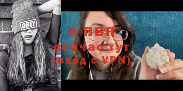 дмт Ельня