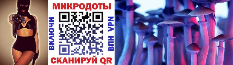 Галлюциногенные грибы Cubensis  Купить  Пролетарск 